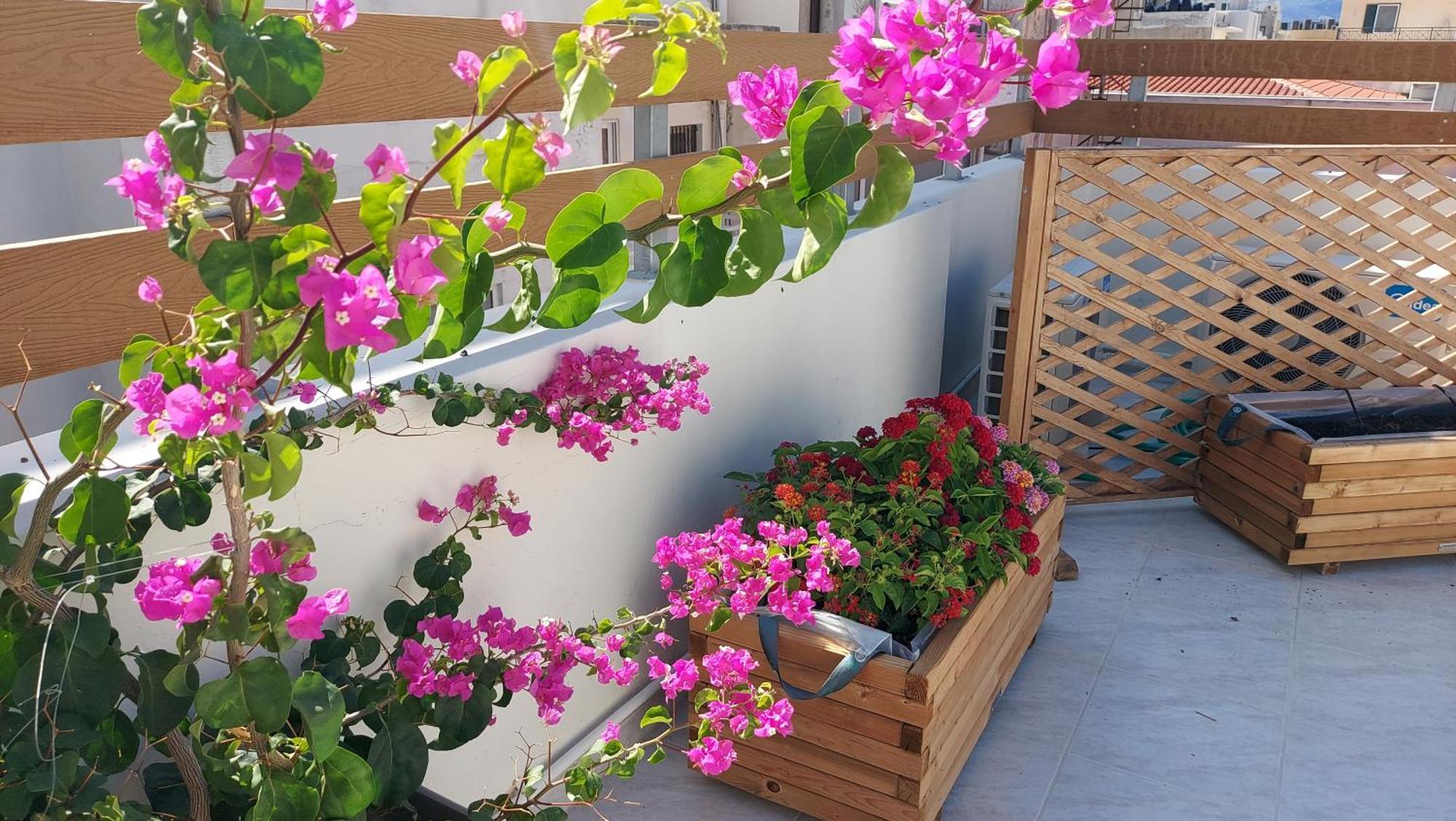 The Little Big Apartment In The Heart Of Heraklion Exterior foto